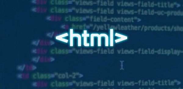Lịch Sử Phát Triển Thiết Kế Website: Từ HTML Thô Sơ Đến Web 3.0