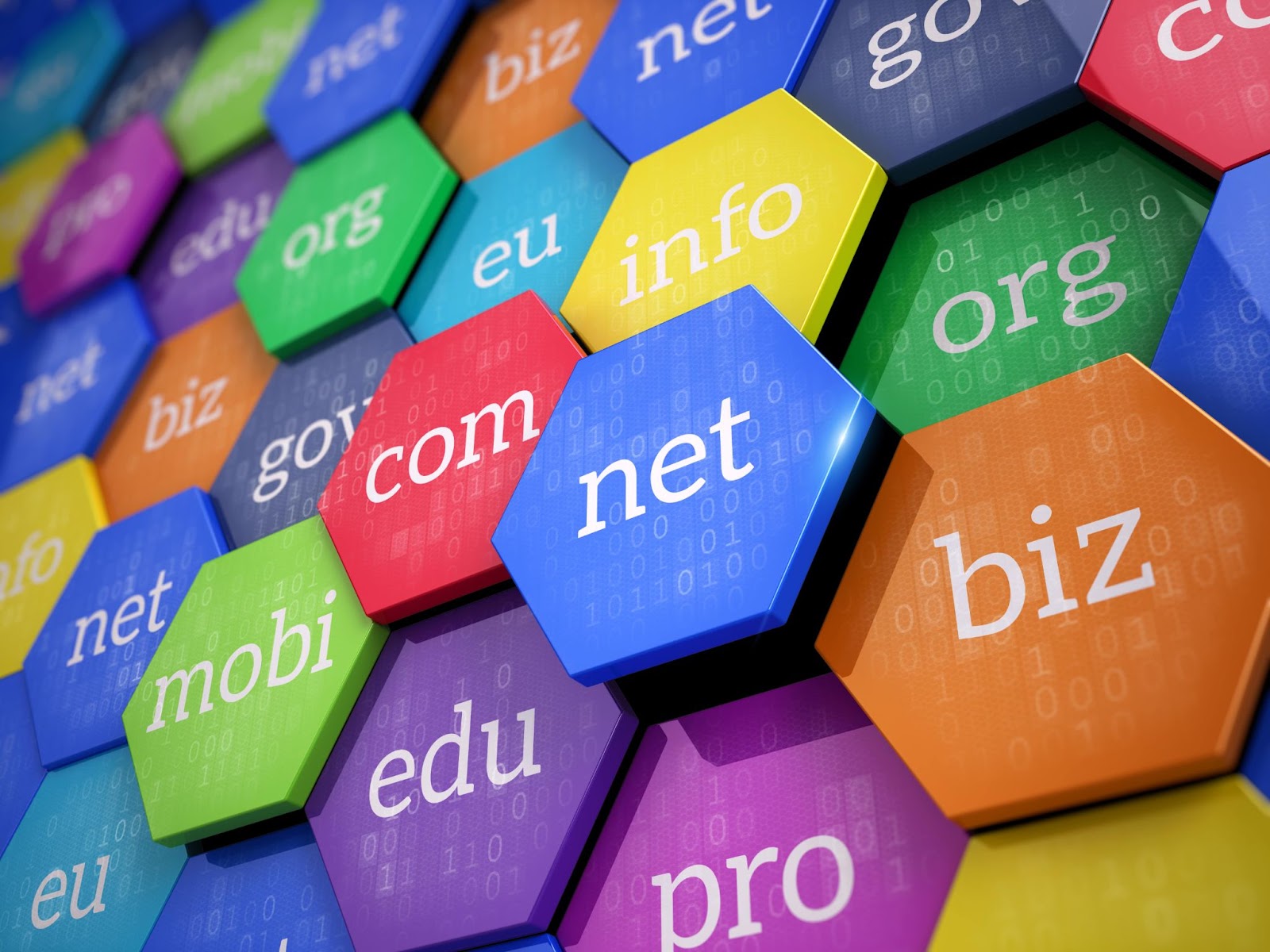 Cách chọn hosting và domain phù hợp cho doanh nghiệp