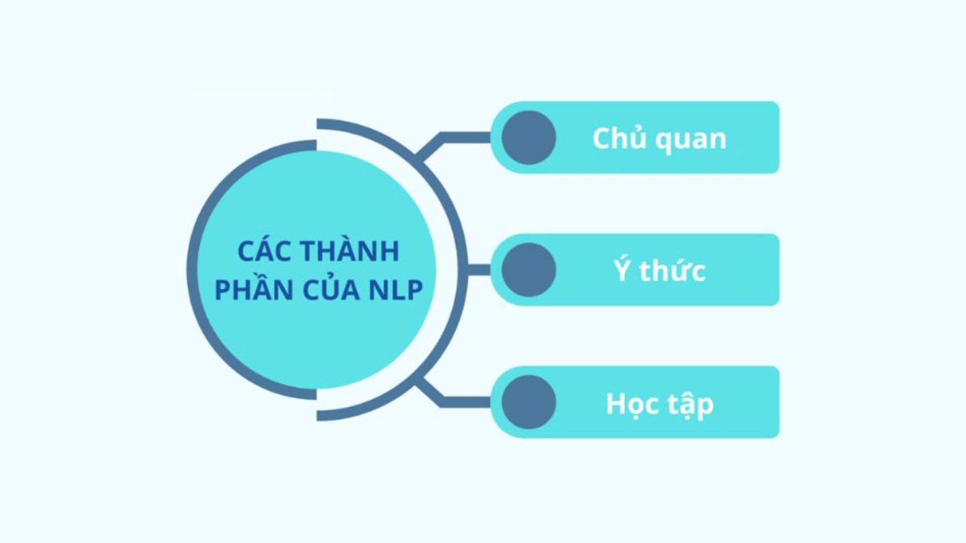 Các thành phần của NLP