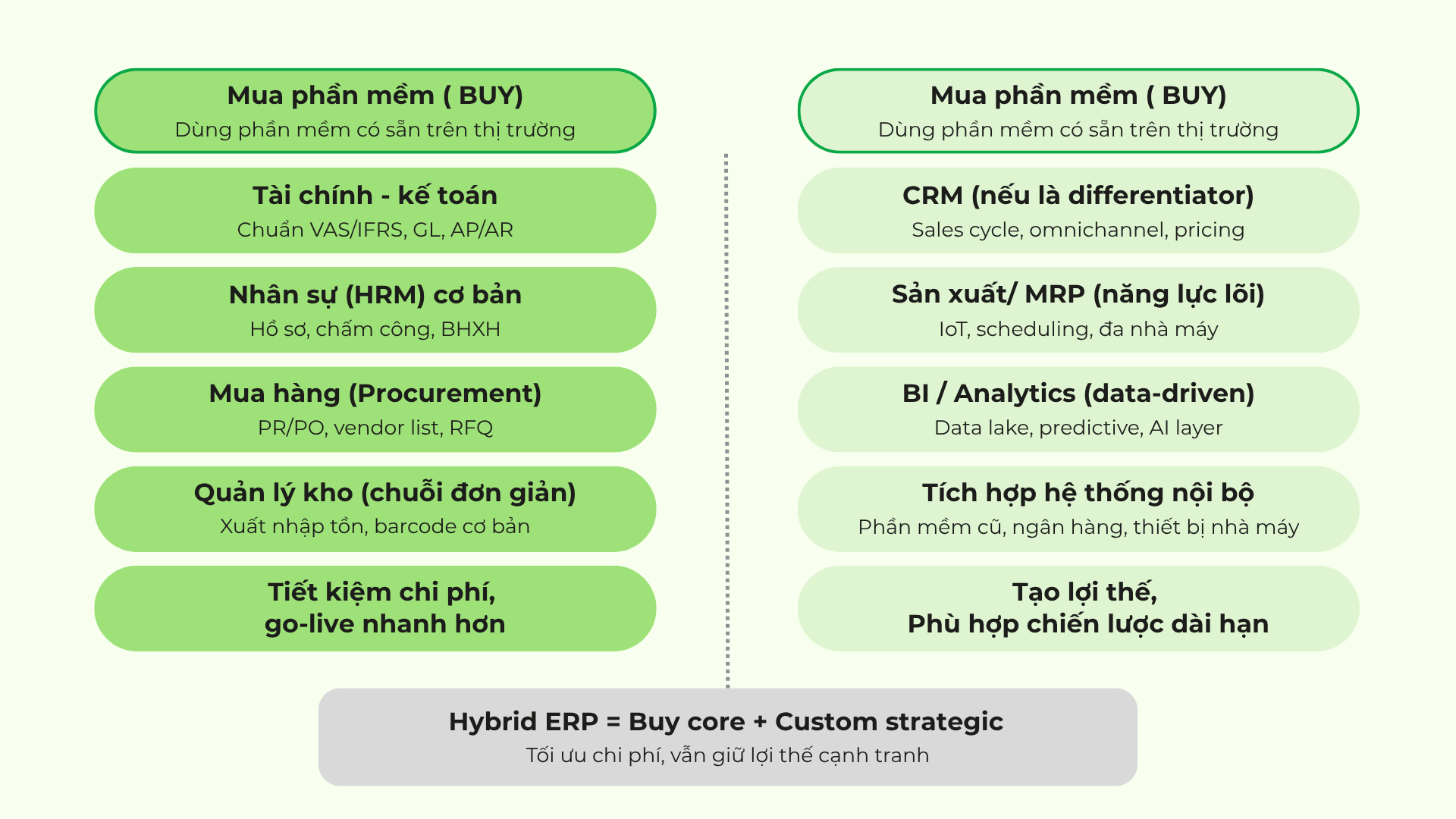Sơ đồ Hybrid ERP Strategy